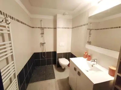 a bathroom with a toilet and a sink at Grand F2 avec terrasse spacieuse, Centre Corte in Corte