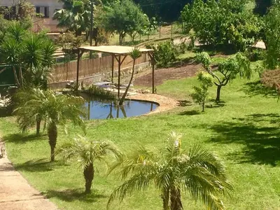 an aerial view of a park with palm trees and a pond at Estancia el Sauce in Taglio-Isolaccio