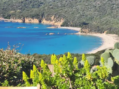 a view of a beach from a hill at Mini-villa 4 personnes - Soléa 20 - vue mer in Serra-di-Ferro