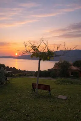 a bench next to a tree with the sunset in the background at Mini-villa 4 personnes - Soléa 20 - vue mer in Serra-di-Ferro