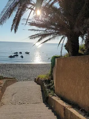 a beach with a palm tree and boats in the water at CORSE Bravone bel appart à 2 pas de la plage 2ch et mezzanine in Linguizzetta