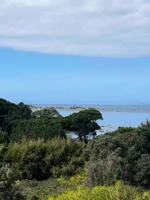 a view of a body of water with trees at Loc A Machia Fiurita 2 - Vue mer in Pietrosella