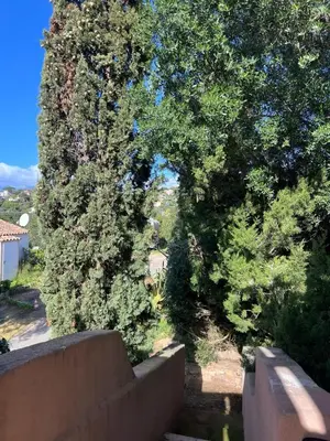 a large group of trees behind a fence at Luce di Mare Studio - Near Santa-Giulia in Porto-Vecchio