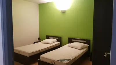 two beds in a room with a green wall at domaine d alistro avec grande piscine in Canale-di-Verde