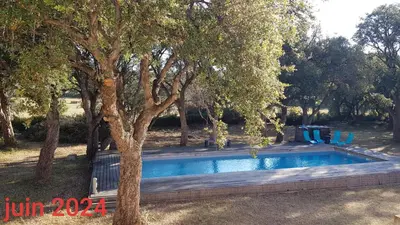 a swimming pool in a yard with trees at domaine d alistro avec grande piscine in Canale-di-Verde
