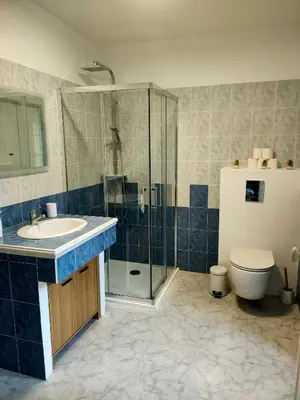 a bathroom with a sink and a shower and a toilet at La Casa Serena - Maison avec SPA in Ortiporio