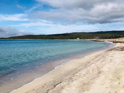 a sandy beach with the ocean and mountains in the background at Elegant 2-bedroom terrace in the heart of the city in Ajaccio