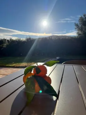 a pair of oranges sitting on a picnic table with the sun at Casa Alivu in Pietrosella