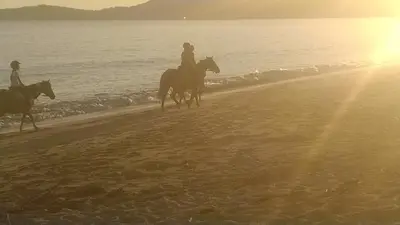 two people are riding horses on the beach at Location familiale 6 personnes entre Propriano et Olmeto in Olmeto