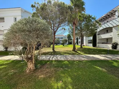 a group of trees in a yard next to a building at Appartement bord de mer in San-Nicolao