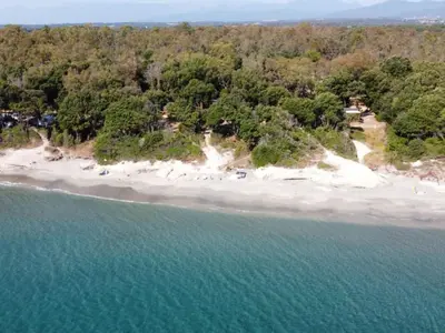an aerial view of a beach with trees and water at Bungalow cosy avec terrasse - 2 pers. - API-1-52-1974 in Linguizzetta