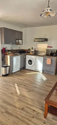 a kitchen with a washing machine and a microwave at Appartement de la Maison des Licornes in Appietto