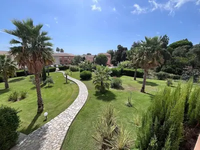 a garden with palm trees and a walkway at Soleil corse et tranquillité près de la plage à Marine de Bravone in Linguizzetta
