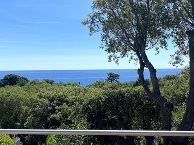 a view of the ocean from a balcony with a tree at Villa bord de plage à pied proche Pinarello in Sainte-Lucie de Porto-Vecchio