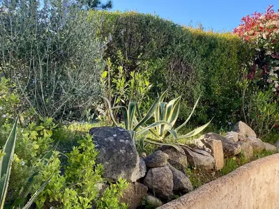a garden with a bunch of rocks and plants at Villa bord de plage à pied proche Pinarello in Sainte-Lucie de Porto-Vecchio
