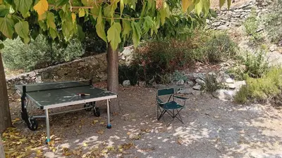 a ping pong table and a chair under a tree at Maison pour 6 avec piscine in Lama