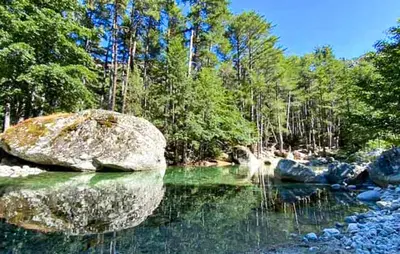 a pond with a large rock in the middle of a forest at Maison Typique De Village in Lopigna