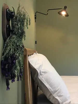 a plant hanging on a wall next to a bed at Appart'hotel Fior Di Ribba in Sartène