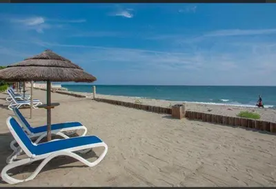 a beach with chairs and an umbrella and the ocean at Vacances idéales in San-Nicolao