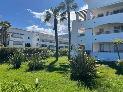 a building with palm trees and plants in a yard at Appartement avec piscine en Costa Verde in San-Nicolao
