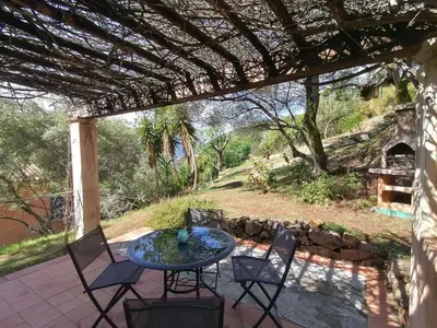 a view of a mountain from under a palm tree at La licorne in Serriera