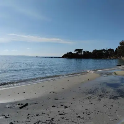 a beach with the ocean and trees in the background at Le Scudo in Ajaccio