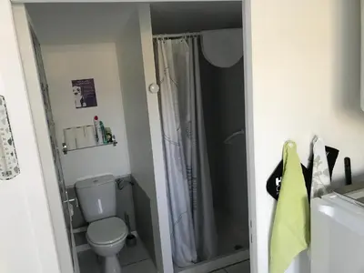 a bathroom with a shower and a toilet and a sink at Charmants studios in Afa