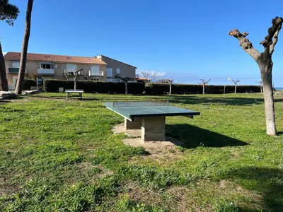 a ping pong table sitting in a grass field at Charmant Duplex proche mer, Clim Terrasse à BORGO in Borgo