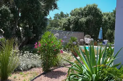 a garden with plants and a swimming pool at Villa MIASULI, Domaine privé, Piscine chauffée, À 10 min de la plage in Sainte-Lucie de Porto-Vecchio