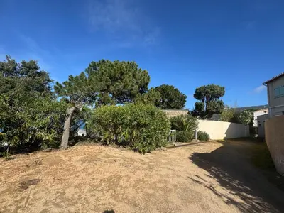 a house with a tree and some bushes at PERLA DI VERGHIA Soleil et détente en Corse - Vue mer & plage à pied Villa 5 Chambres Grand Confort in Coti-Chiavari