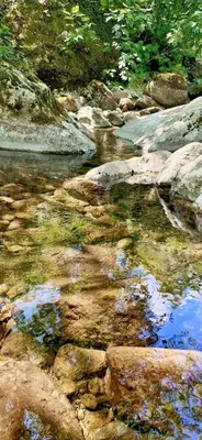 Gallery image of havre de paix au cœur de la montagne corse in Santo-Pietro-di-Venaco