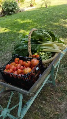 a basket of tomatoes and other vegetables on a table at Chioselle in Chiatra