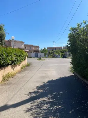 an empty street with a tree on the side of the road at Maison à 1km de la plage in Venzolasca