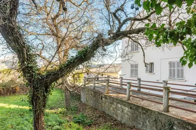 a tree next to a fence in front of a white house at Nebbiu - 25km de Bastia in Murato