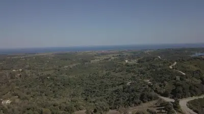 an aerial view of a forested area with a road at T2 vue mer in Chiatra