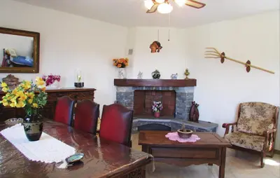 a living room with a table and a fireplace at Gorgeous Home In Valle Di Rostino in Valle-di-Rostino