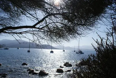 a group of boats floating on a body of water at A Casa Nèra in Porto Pollo