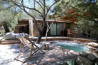 a patio with a tree and chairs next to a pool at Domaine Les Oliviers de Palombaggia in Porto-Vecchio