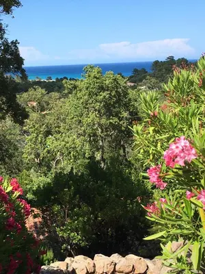 a view of the ocean from a garden with flowers at Thalassa in Sainte-Lucie de Porto-Vecchio