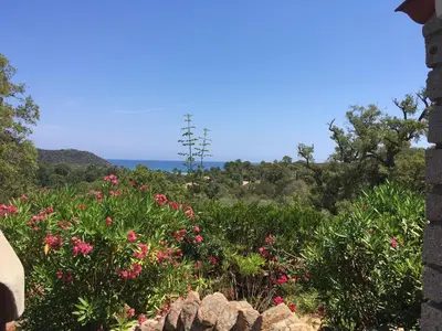 a view of a garden with pink flowers at Thalassa in Sainte-Lucie de Porto-Vecchio