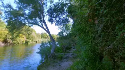 a path next to a river with trees at Lavu Santu in Sainte-Lucie de Porto-Vecchio