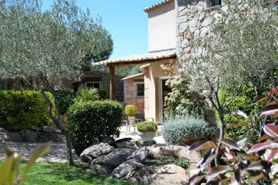 a swimming pool in a yard with trees at Concadoro in Porto-Vecchio