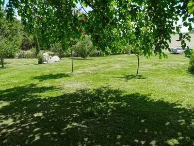 a field of green grass with trees and rocks at Maison San Giovanni in Corte
