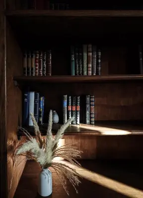a book shelf with books and a plant in a vase at U Palazzu - Demeure de charme au centre de la Corse in Corte