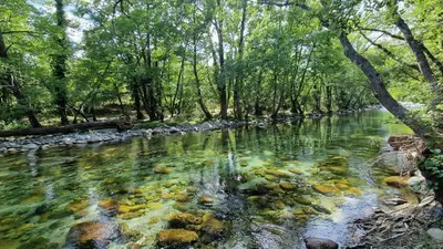 a river with rocks in the middle of a forest at U Palazzu - Demeure de charme au centre de la Corse in Corte