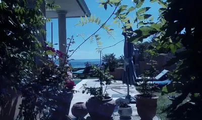 a patio with potted plants and a view of the ocean at Gîte L'Appart de Case Vanille in Sari Solenzara