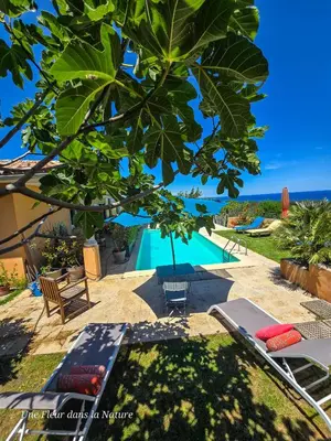 a view of a swimming pool from under a tree at Gîte L'Appart de Case Vanille in Sari Solenzara