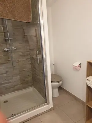 a bathroom with a shower and a toilet at Casa Petra in Corte