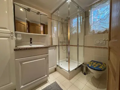 a bathroom with a shower and a toilet and a sink at Apartment Pioppa for 4 in Porto-Vecchio