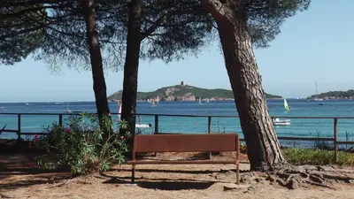 a bench sitting next to a tree next to the water at Kallisterra in Sainte-Lucie de Porto-Vecchio
